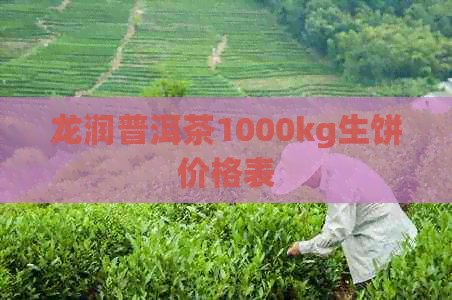 龙润普洱茶1000kg生饼价格表