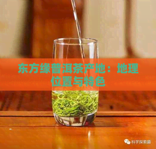 东方缘普洱茶产地：地理位置与特色