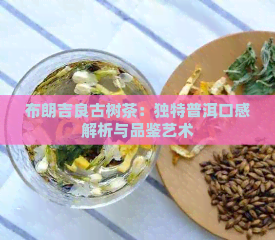 布朗吉良古树茶：独特普洱口感解析与品鉴艺术