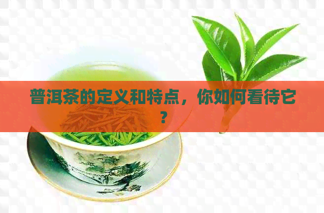 普洱茶的定义和特点，你如何看待它？