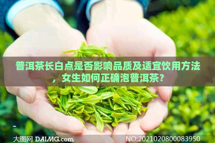 普洱茶长白点是否影响品质及适宜饮用方法，女生如何正确泡普洱茶？