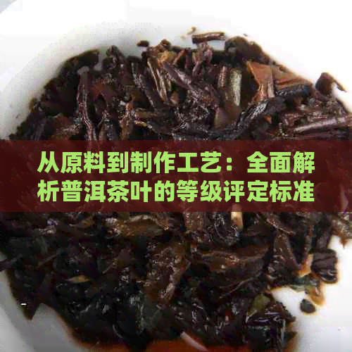 从原料到制作工艺：全面解析普洱茶叶的等级评定标准及其影响因素