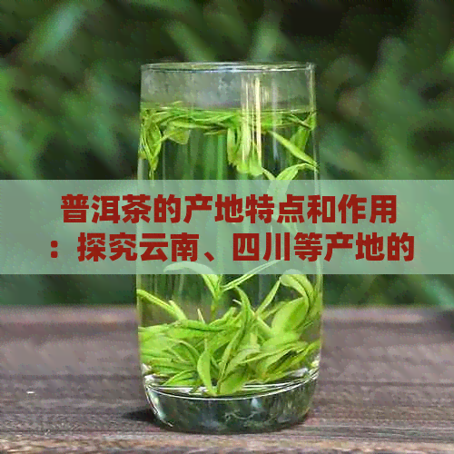 普洱茶的产地特点和作用：探究云南、四川等产地的独特魅力及其健益处。