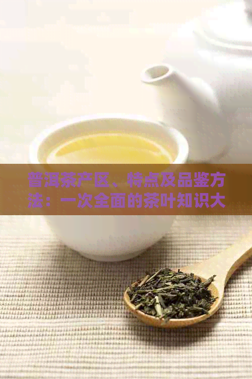 普洱茶产区、特点及品鉴方法：一次全面的茶叶知识大揭秘