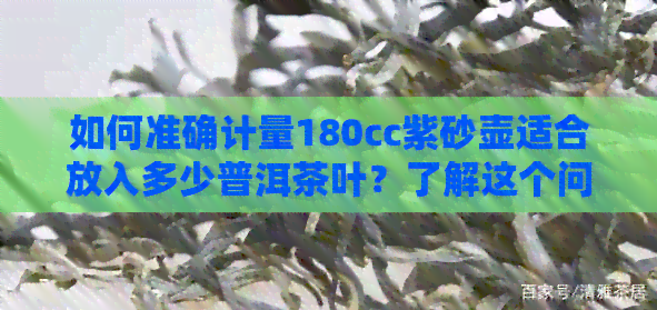 如何准确计量180cc紫砂壶适合放入多少普洱茶叶？了解这个问题的完整答案