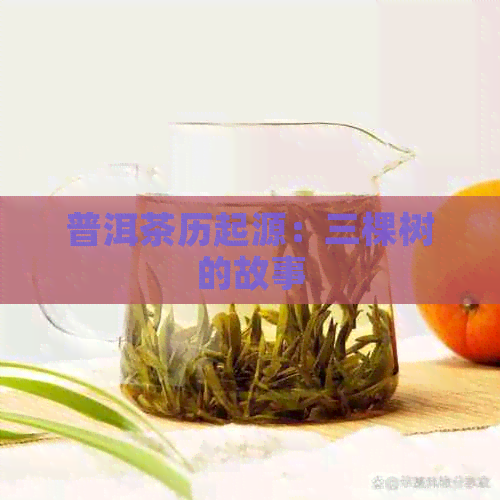 普洱茶历起源：三棵树的故事