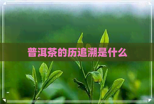 普洱茶的历追溯是什么