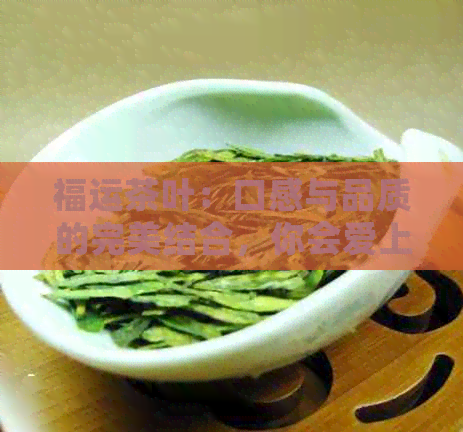 福运茶叶：口感与品质的完美结合，你会爱上普洱茶的价格与怎么样吗？