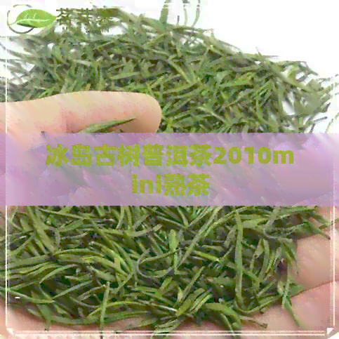 冰岛古树普洱茶2010mini熟茶