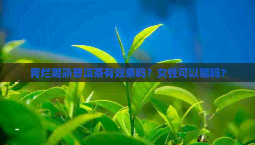 胃烂喝熟普洱茶有效果吗？女性可以喝吗？