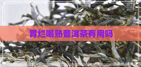 胃烂喝熟普洱茶有用吗