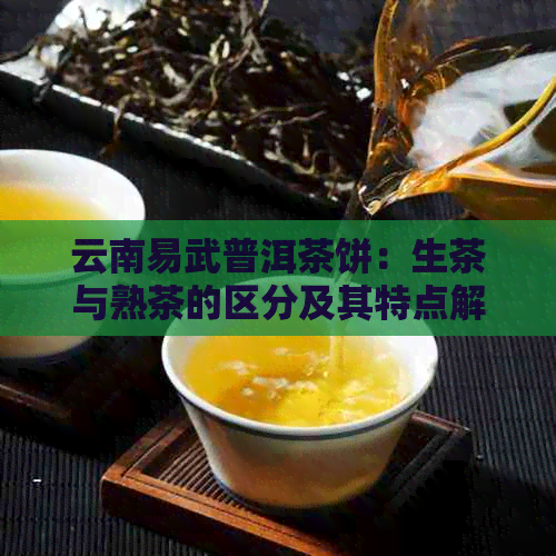 云南易武普洱茶饼：生茶与熟茶的区分及其特点解析