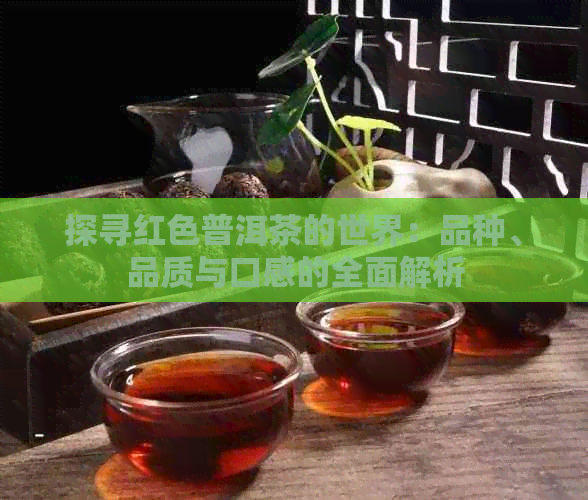 探寻红色普洱茶的世界：品种、品质与口感的全面解析