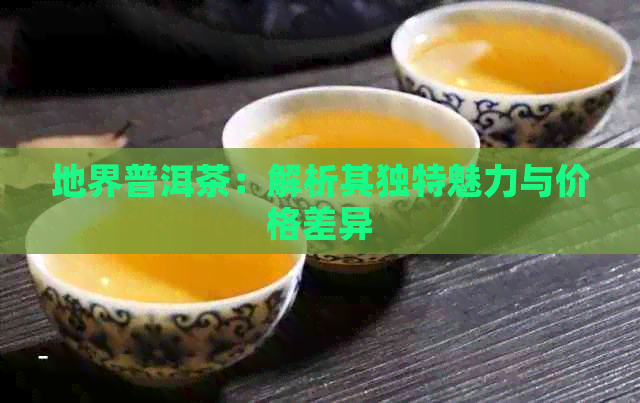 地界普洱茶：解析其独特魅力与价格差异