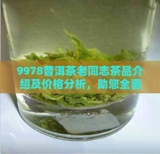 9978普洱茶老同志茶品介绍及价格分析，助您全面了解该茶的品质和性价比