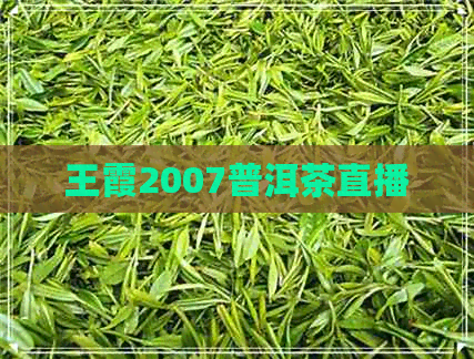 王霞2007普洱茶直播