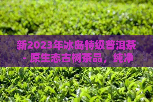 新2023年冰岛特级普洱茶 - 原生态古树茶品，纯净天然口感，珍藏级茶叶享受