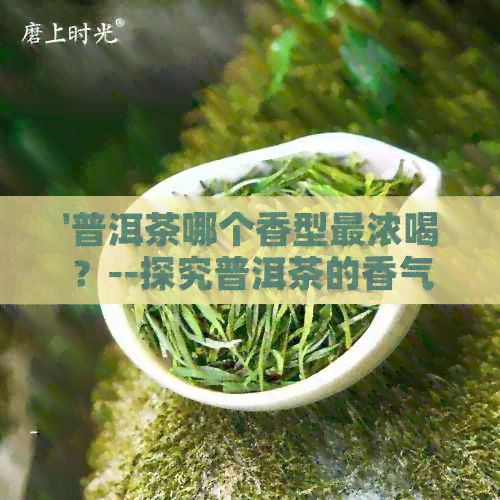 '普洱茶哪个香型最浓喝？--探究普洱茶的香气魅力'