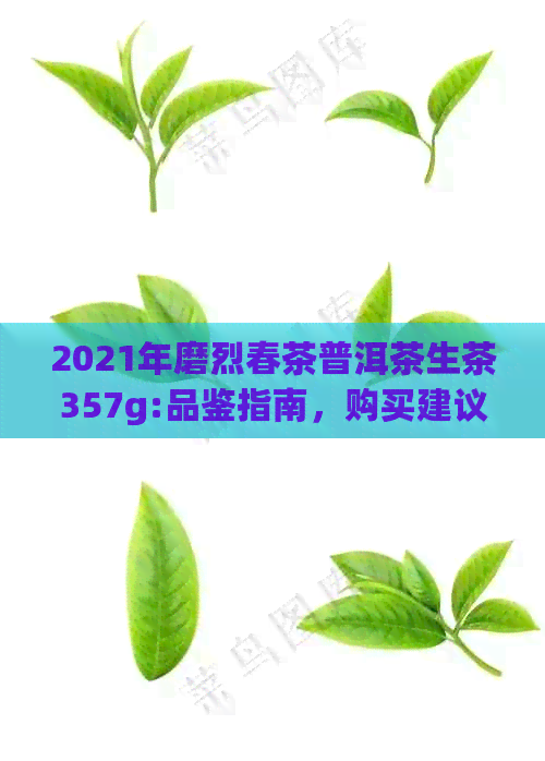 2021年磨烈春茶普洱茶生茶357g:品鉴指南，购买建议，冲泡方法及口感评价