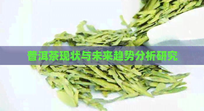 普洱茶现状与未来趋势分析研究