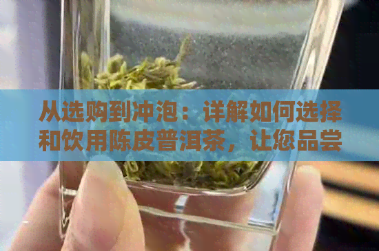 从选购到冲泡：详解如何选择和饮用陈皮普洱茶，让您品尝到口感