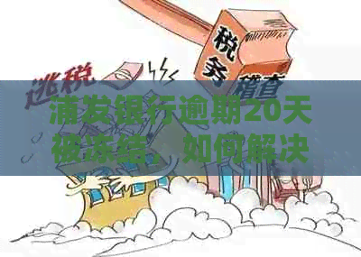 浦发银行逾期20天被冻结，如何解决还款问题并恢复信用？