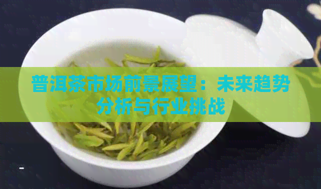 普洱茶市场前景展望：未来趋势分析与行业挑战