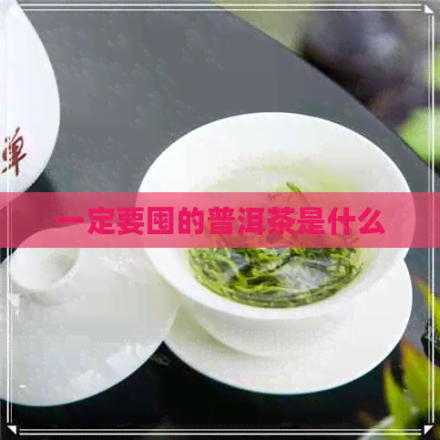 一定要囤的普洱茶是什么