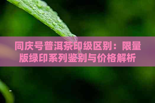 同庆号普洱茶印级区别：限量版绿印系列鉴别与价格解析