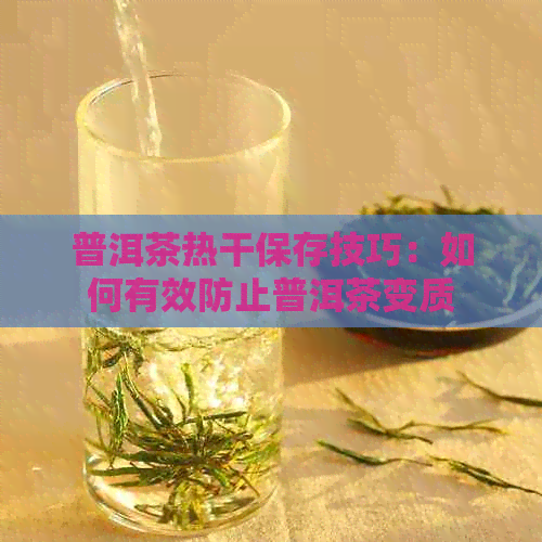 普洱茶热干保存技巧：如何有效防止普洱茶变质