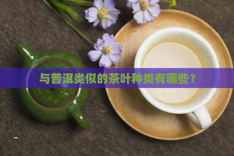 与普洱类似的茶叶种类有哪些？