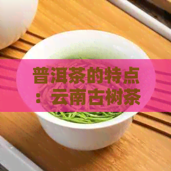 普洱茶的特点：云南古树茶的陈化过程与优质生茶口感