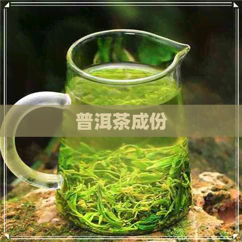 普洱茶成份