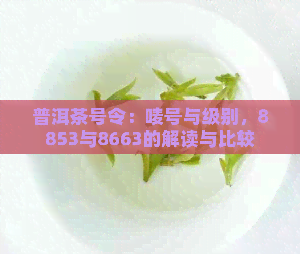 普洱茶号令：唛号与级别，8853与8663的解读与比较