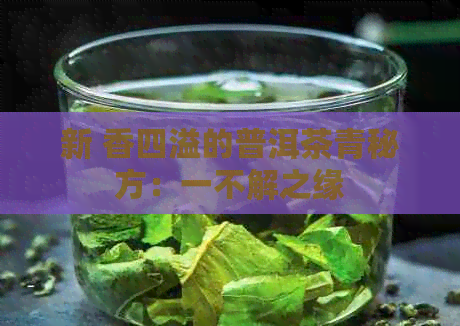 新 香四溢的普洱茶青秘方：一不解之缘