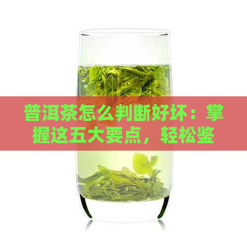 普洱茶怎么判断好坏：掌握这五大要点，轻松鉴别优质普洱茶