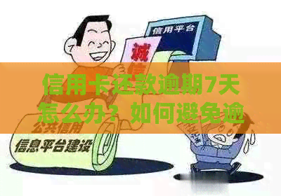 信用卡还款逾期7天怎么办？如何避免逾期费用与信用损失？