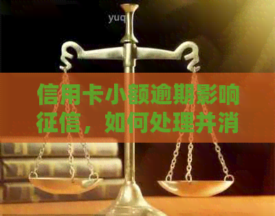 信用卡小额逾期影响，如何处理并消除记录？