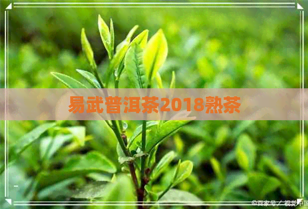 易武普洱茶2018熟茶