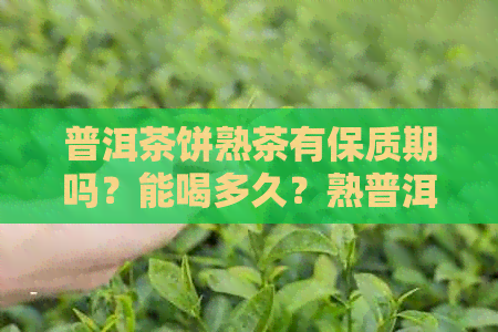 普洱茶饼熟茶有保质期吗？能喝多久？熟普洱茶饼保质期多长？