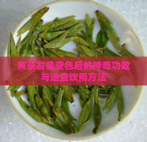 黄茶发黄变色后的神奇功效与适宜饮用方法