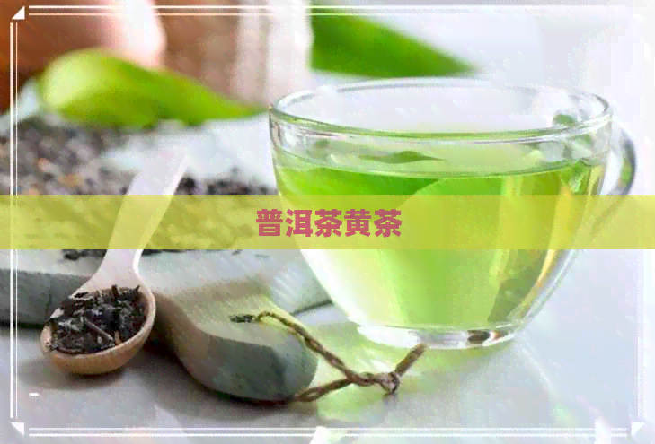 普洱茶黄茶