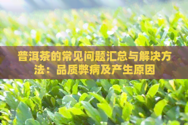 普洱茶的常见问题汇总与解决方法：品质弊病及产生原因