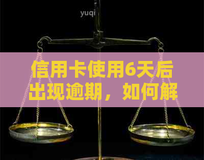 信用卡使用6天后出现逾期，如何解决被冻结的问题？