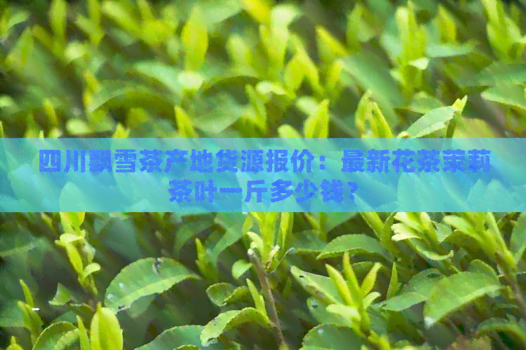 四川飘雪茶产地货源报价：最新花茶茉莉茶叶一斤多少钱？