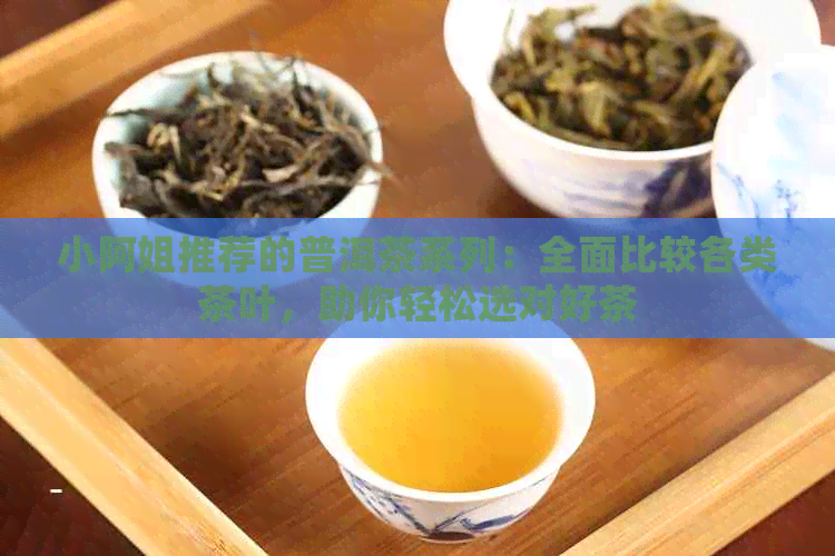 小阿姐推荐的普洱茶系列：全面比较各类茶叶，助你轻松选对好茶