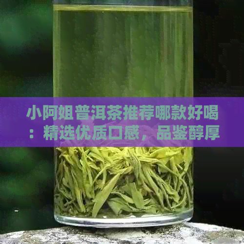 小阿姐普洱茶推荐哪款好喝：精选优质口感，品鉴醇厚回