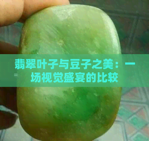 翡翠叶子与豆子之美：一场视觉盛宴的比较