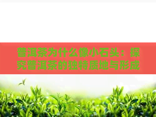 普洱茶为什么像小石头：探究普洱茶的独特质地与形成原因