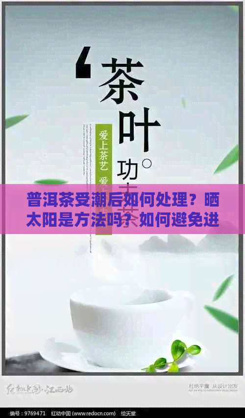 普洱茶受潮后如何处理？晒太阳是方法吗？如何避免进一步损坏？